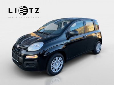 Fiat Pandina Gebrauchtwagen Fiat Pandina Gebrauchtwagen