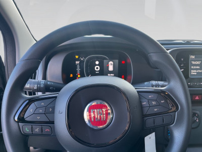Fiat Pandina Gebrauchtwagen Fiat Pandina Gebrauchtwagen