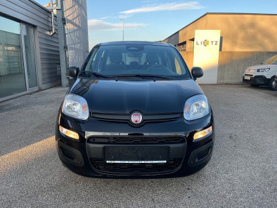 Fiat Pandina Gebrauchtwagen Fiat Pandina Gebrauchtwagen