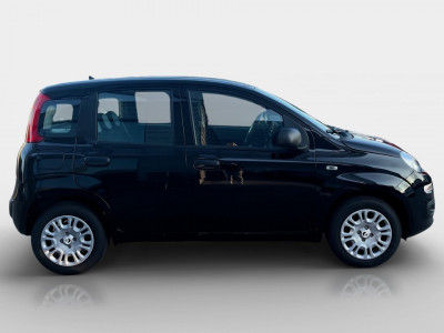 Fiat Pandina Gebrauchtwagen Fiat Pandina Gebrauchtwagen