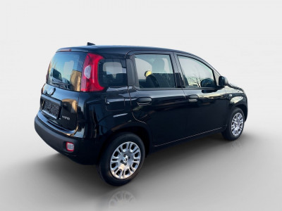 Fiat Pandina Gebrauchtwagen Fiat Pandina Gebrauchtwagen