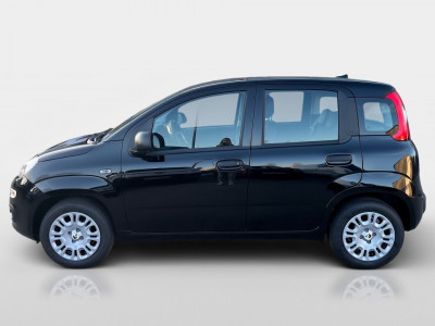 Fiat Pandina Gebrauchtwagen Fiat Pandina Gebrauchtwagen