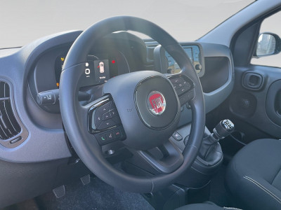 Fiat Pandina Gebrauchtwagen Fiat Pandina Gebrauchtwagen