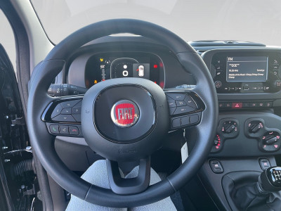 Fiat Pandina Gebrauchtwagen Fiat Pandina Gebrauchtwagen