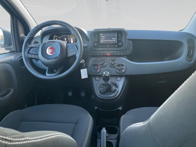 Fiat Pandina Gebrauchtwagen Fiat Pandina Gebrauchtwagen