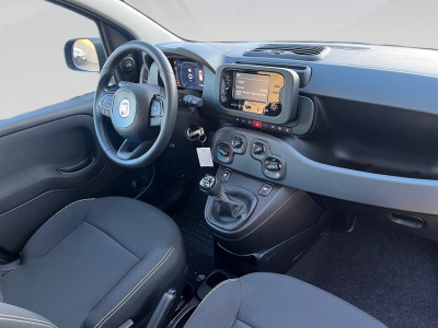 Fiat Pandina Gebrauchtwagen Fiat Pandina Gebrauchtwagen