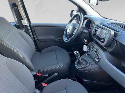 Fiat Pandina Gebrauchtwagen Fiat Pandina Gebrauchtwagen