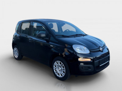 Fiat Pandina Gebrauchtwagen Fiat Pandina Gebrauchtwagen