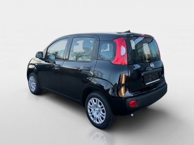 Fiat Pandina Gebrauchtwagen Fiat Pandina Gebrauchtwagen
