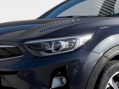 KIA Stonic Gebrauchtwagen