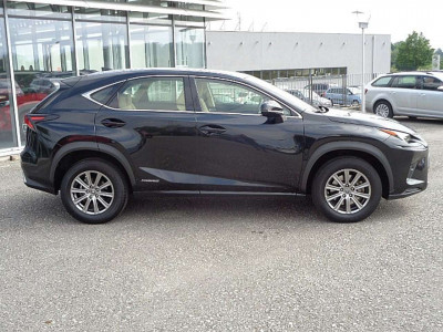 Lexus NX Gebrauchtwagen