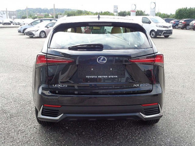 Lexus NX Gebrauchtwagen