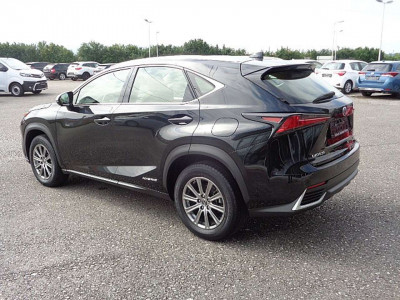 Lexus NX Gebrauchtwagen