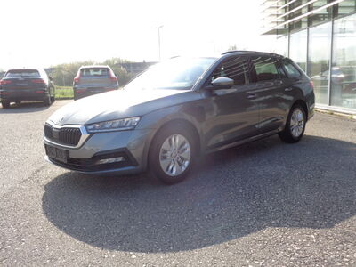 Skoda Octavia Gebrauchtwagen Skoda Octavia Gebrauchtwagen