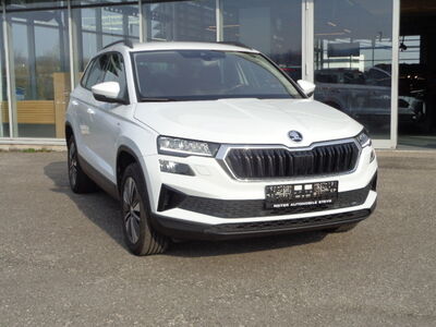 Skoda Karoq Gebrauchtwagen Skoda Karoq Gebrauchtwagen