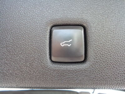 Ford Kuga Gebrauchtwagen Ford Kuga Gebrauchtwagen