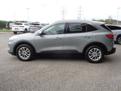 Ford Kuga Gebrauchtwagen Ford Kuga Gebrauchtwagen