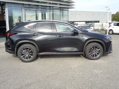 Lexus NX Gebrauchtwagen Lexus NX Gebrauchtwagen