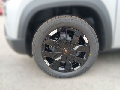 Dacia Spring Vorführwagen