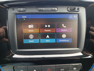 Dacia Spring Gebrauchtwagen