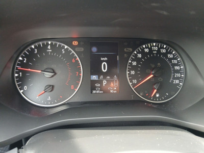 Renault Arkana Gebrauchtwagen