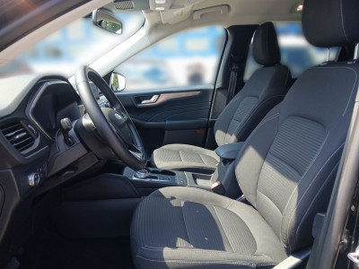 Ford Kuga Gebrauchtwagen Ford Kuga Gebrauchtwagen