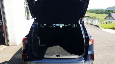 Ford Kuga Gebrauchtwagen Ford Kuga Gebrauchtwagen