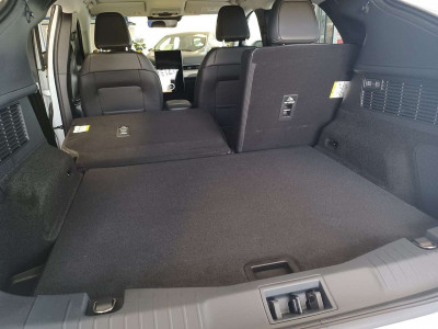 Ford Mustang Mach-E Gebrauchtwagen Ford Mustang Mach-E Gebrauchtwagen