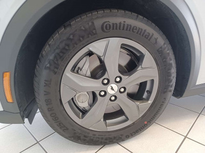 Ford Mustang Mach-E Gebrauchtwagen Ford Mustang Mach-E Gebrauchtwagen