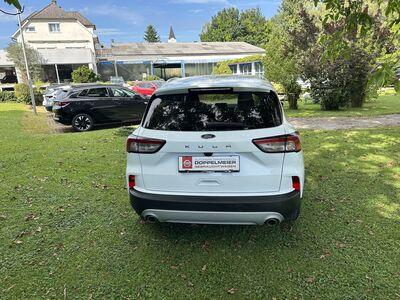 Ford Kuga Gebrauchtwagen