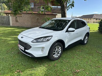 Ford Kuga Gebrauchtwagen