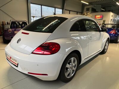 VW Beetle Gebrauchtwagen