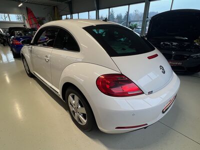 VW Beetle Gebrauchtwagen