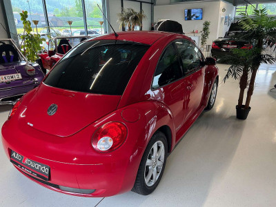 VW Beetle Gebrauchtwagen