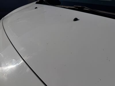 Opel Vivaro Gebrauchtwagen