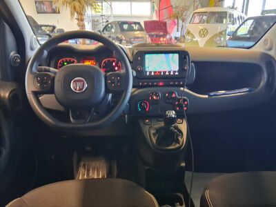 Fiat Panda Gebrauchtwagen