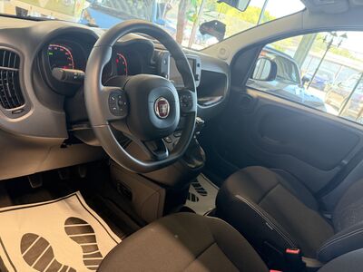 Fiat Panda Jahreswagen Fiat Panda Jahreswagen