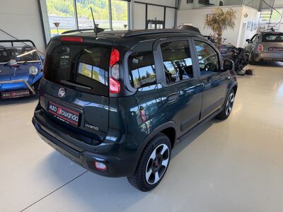 Fiat Panda Jahreswagen Fiat Panda Jahreswagen