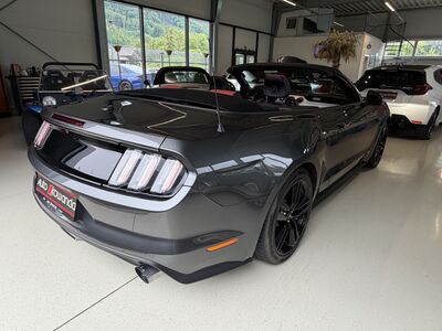 Ford Mustang Gebrauchtwagen Ford Mustang Gebrauchtwagen