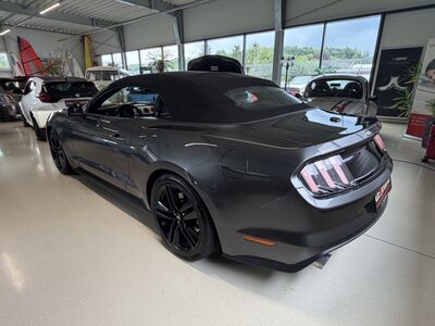 Ford Mustang Gebrauchtwagen Ford Mustang Gebrauchtwagen