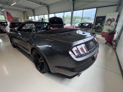 Ford Mustang Gebrauchtwagen Ford Mustang Gebrauchtwagen