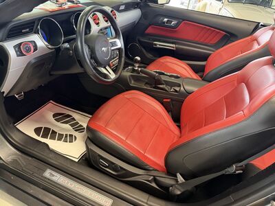 Ford Mustang Gebrauchtwagen Ford Mustang Gebrauchtwagen