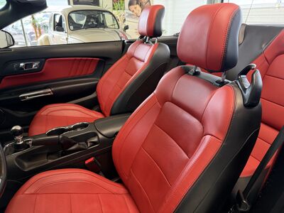 Ford Mustang Gebrauchtwagen Ford Mustang Gebrauchtwagen