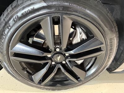 Ford Mustang Gebrauchtwagen Ford Mustang Gebrauchtwagen