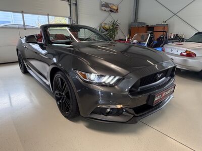 Ford Mustang Gebrauchtwagen Ford Mustang Gebrauchtwagen