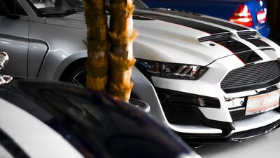 Ford Mustang Gebrauchtwagen Ford Mustang Gebrauchtwagen