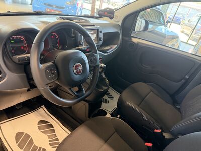 Fiat Panda Jahreswagen