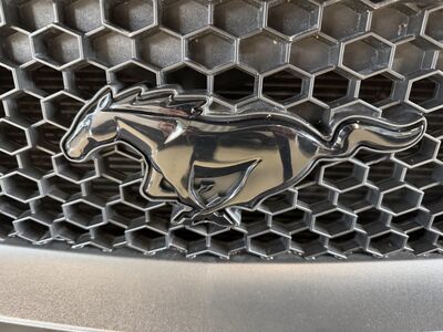 Ford Mustang Gebrauchtwagen Ford Mustang Gebrauchtwagen
