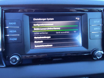 Skoda Karoq Gebrauchtwagen