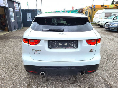 Jaguar F-Pace Gebrauchtwagen